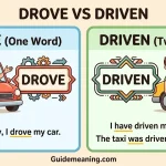 Drove vs Driven