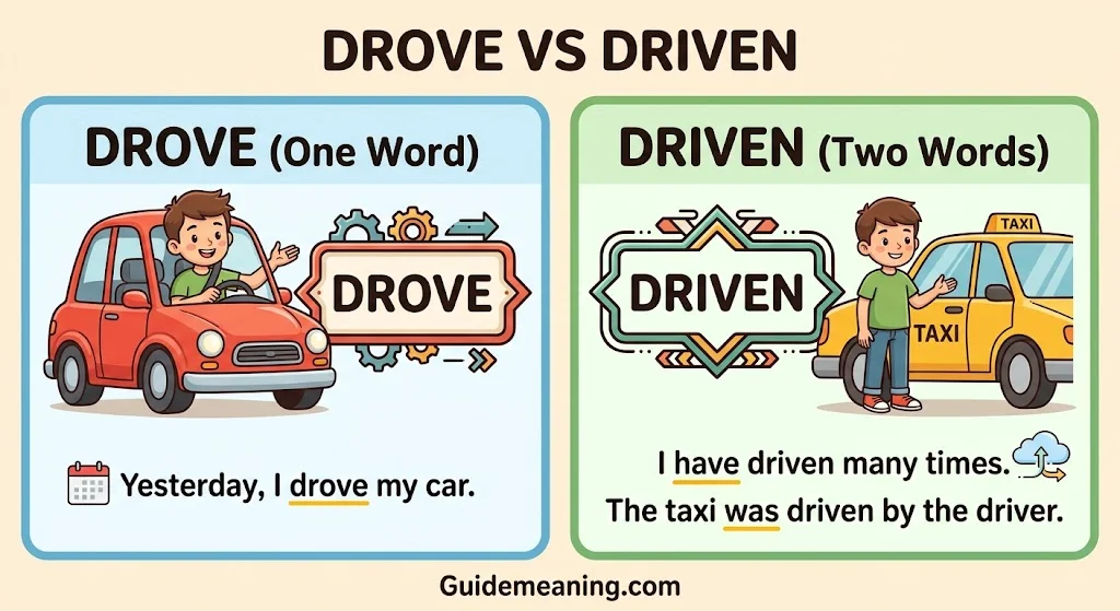 Drove vs Driven