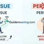 Pursue or Persue